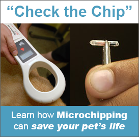microchip ad