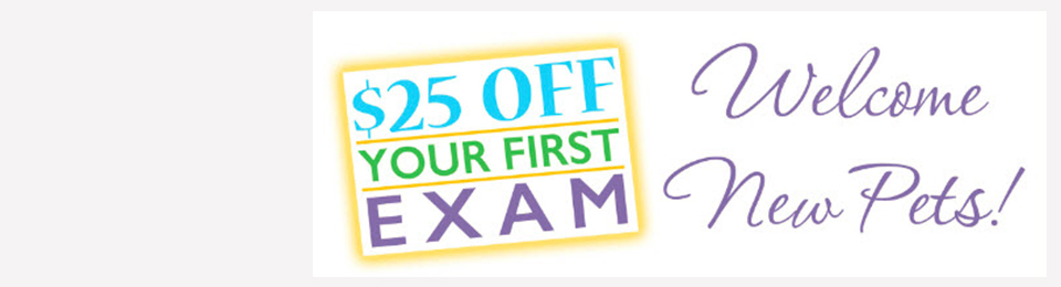 $25 first exam advertisement