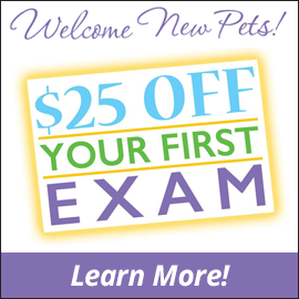 $25 first exam promotion